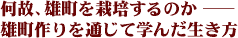 何故、雄町を栽培するのか--雄町作りを通じて学んだ生き方」