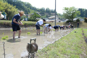 雄町・田植祭・赤磐雄町・利守酒造