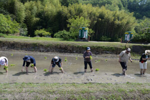雄町・田植祭・赤磐雄町・利守酒造