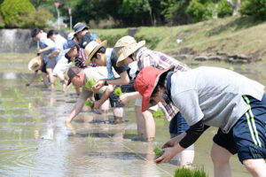 雄町・田植祭・赤磐雄町・利守酒造