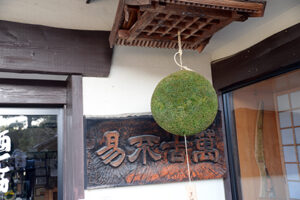 杉玉・新酒・しぼりたて