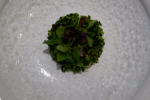 HAL YAMASHITA・赤磐雄町・酒一筋