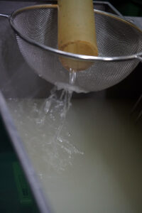 新酒・酒・しぼりたて