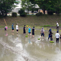 2025年「雄町」田植祭　開催報告