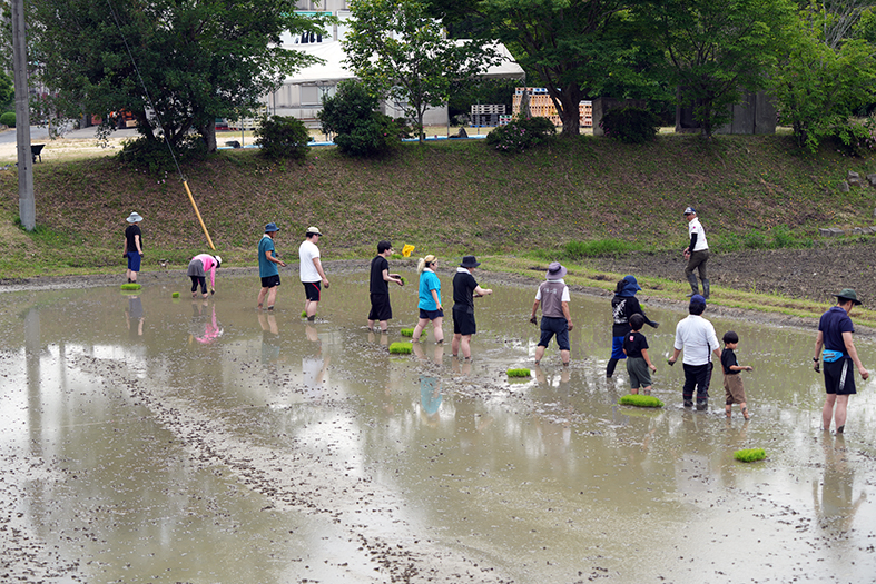 2025年「雄町」田植祭　開催報告