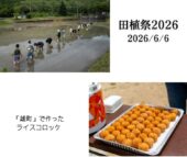 酒米「雄町」田植祭2026