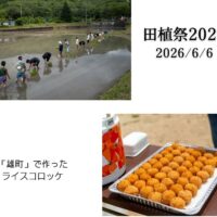 酒米「雄町」田植祭2026