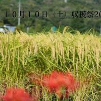 酒米「雄町」収穫祭2026 開催のご案内